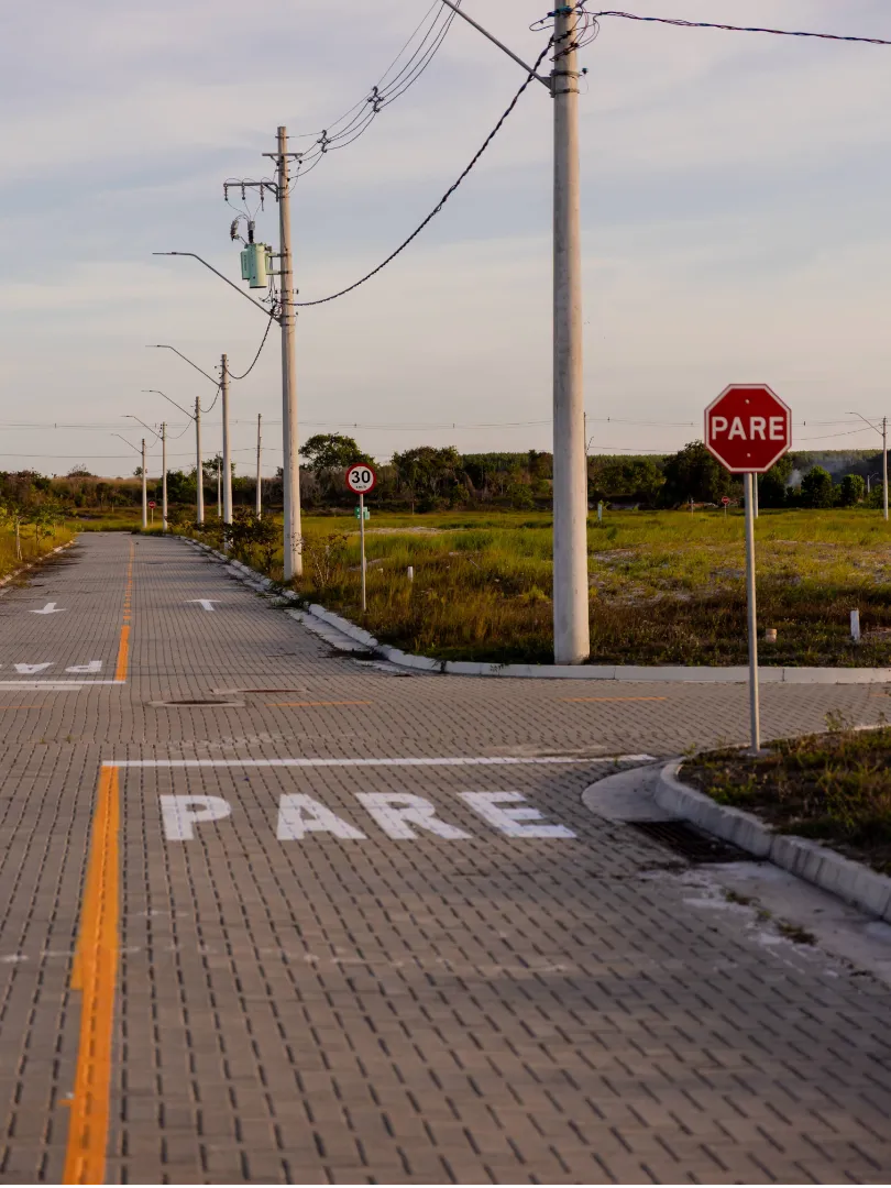 Rua pavimentada no Reserva Harmonia São Mateus